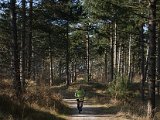 Pannenkoekenmolenloop 2016 - 73.jpg